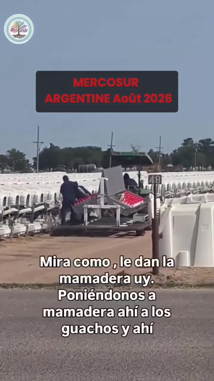 La Carne De Ternera Procedente De Argentina Gracias Al Acuerdo Con la-carne-de-ternera-procedente-de-argentina-gracias-al-acuerdo-con