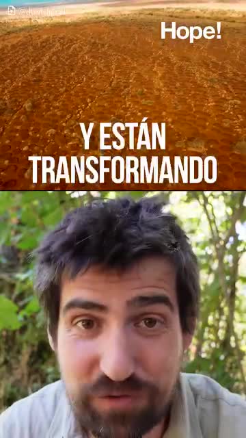 Los satélites han detectado una transformación hidrológica a lo largo de miles de kilómetros en la frontera sur del desierto del Sáhara gracias a unos agujeros que crean lluvia