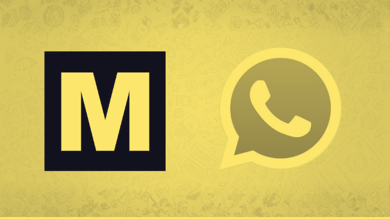 No hay nadie revisando o censurando el contenido de tus mensajes de WhatsApp: 11 preguntas y respuestas