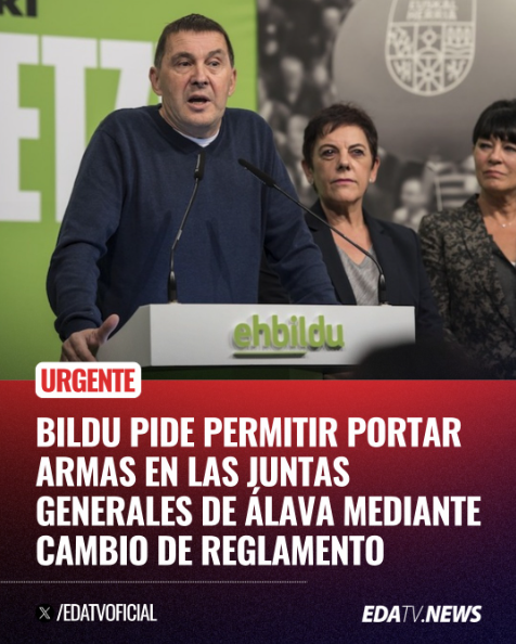 Bildu pide permitir portar armas dentro de las Juntas Generales de Álava
