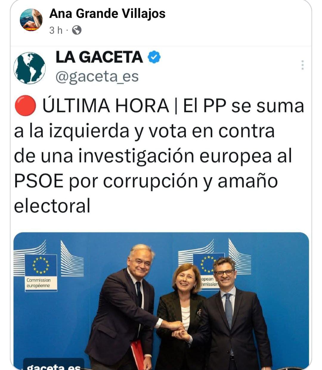 La "investigación europea al PSOE por corrupción" es una petición ciudadana y fue declarada improcedente por un comité del Parlamento Europeo