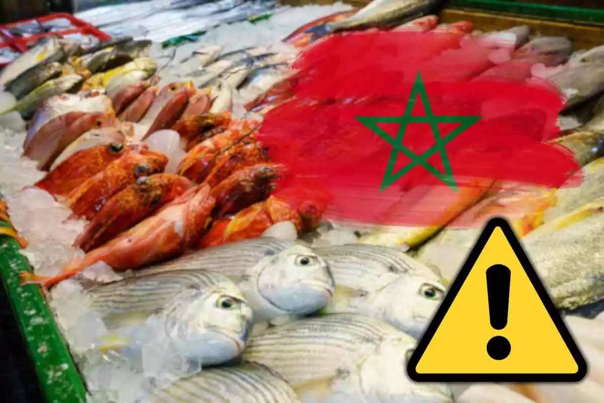 La Unión Europea lanza alerta sanitaria por histaminia en sardinas procedentes de Marruecos que ingresaron por España