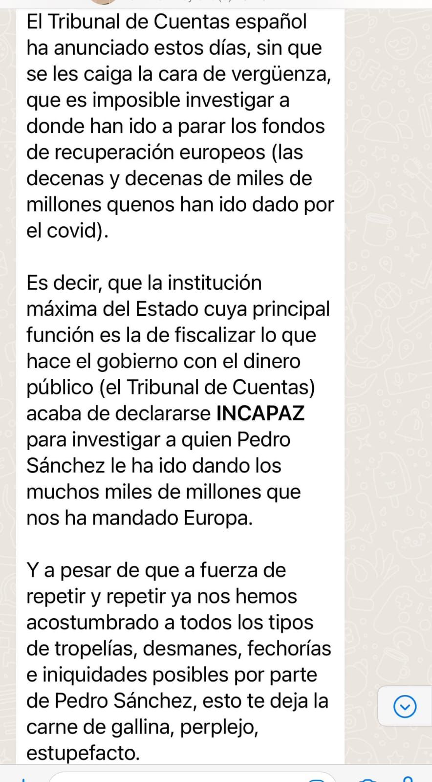 No hay rastro de que el Tribunal de Cuentas haya dicho que no sea posible “investigar a dónde han ido los fondos de recuperación europeos”