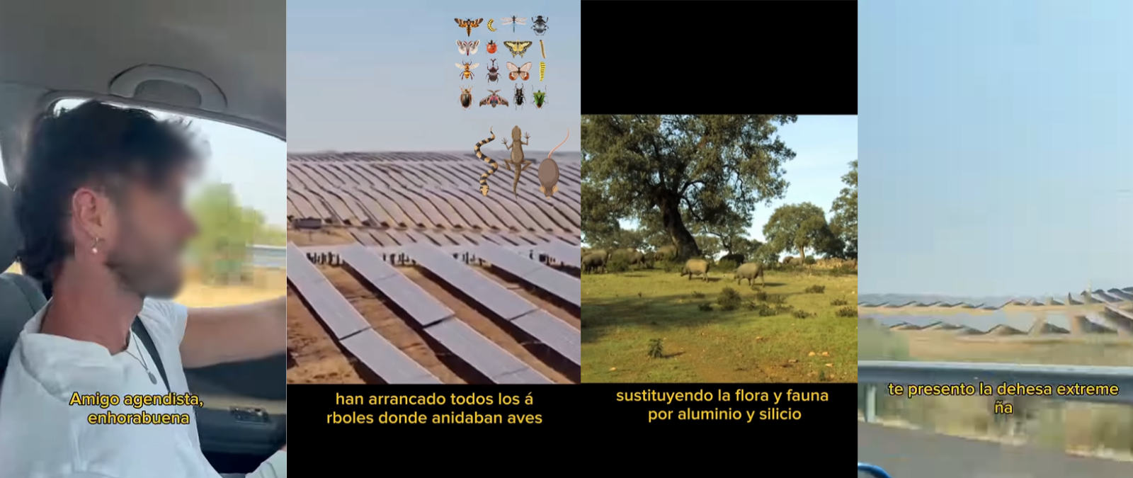 Cuidado con el vídeo que dice que la dehesa extremeña es ahora un campo de placas solares: la fotovoltaica ocupa unas 17.000 hectáreas mientras la dehesa superaba el millón en 2021
