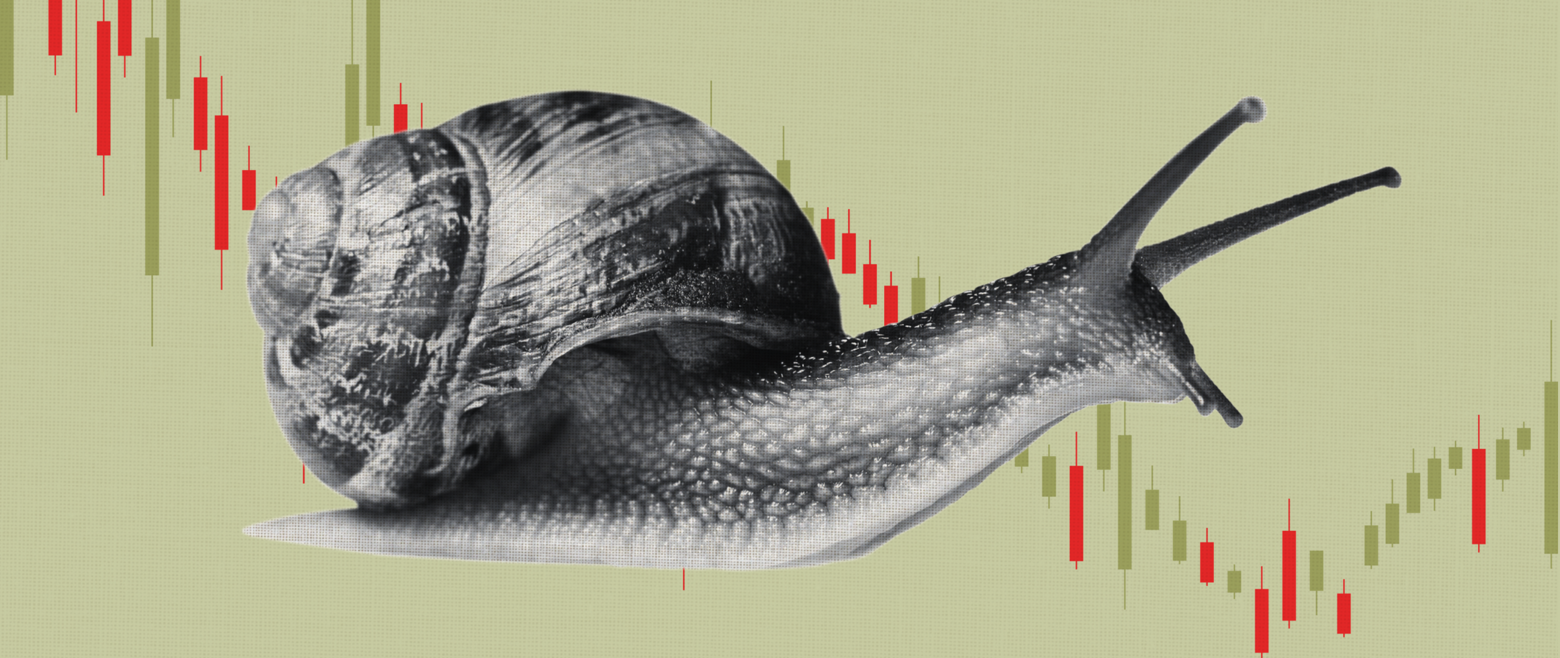 Del jardín a la granja: ¿Cómo funciona la industria de los caracoles?