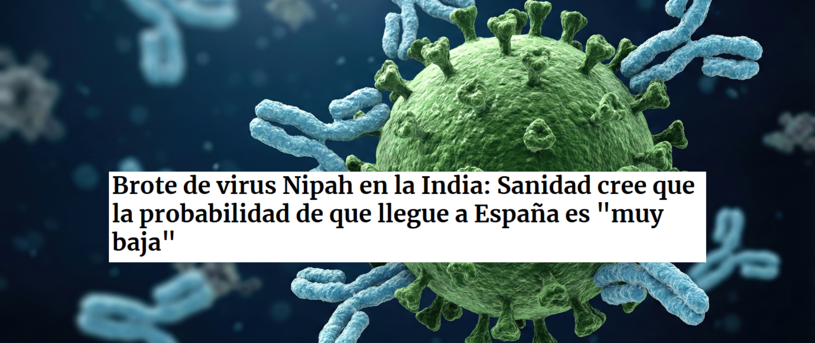 El Ministerio de Sanidad estima que el riesgo del virus Nipah para la población española es "muy bajo" a enero de 2026