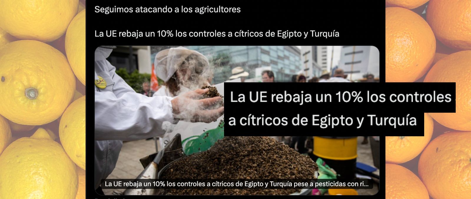 La UE no está "rebajando" los controles a cítricos de Egipto y Turquía: está volviendo a los controles originales tras considerar una mejora de sus resultados