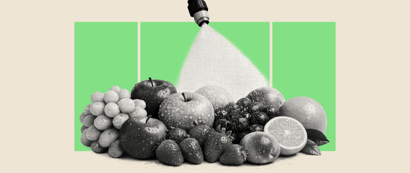 ¿Cómo se decide el máximo de residuos que pueden contener los alimentos que consumimos?