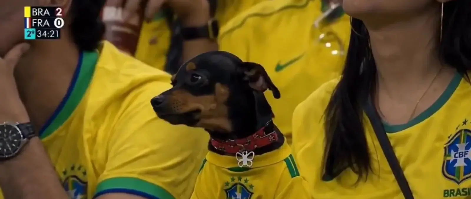 No, este vídeo de un perro vestido con la equipación de Brasil en el Mundial no es real: está creado con IA