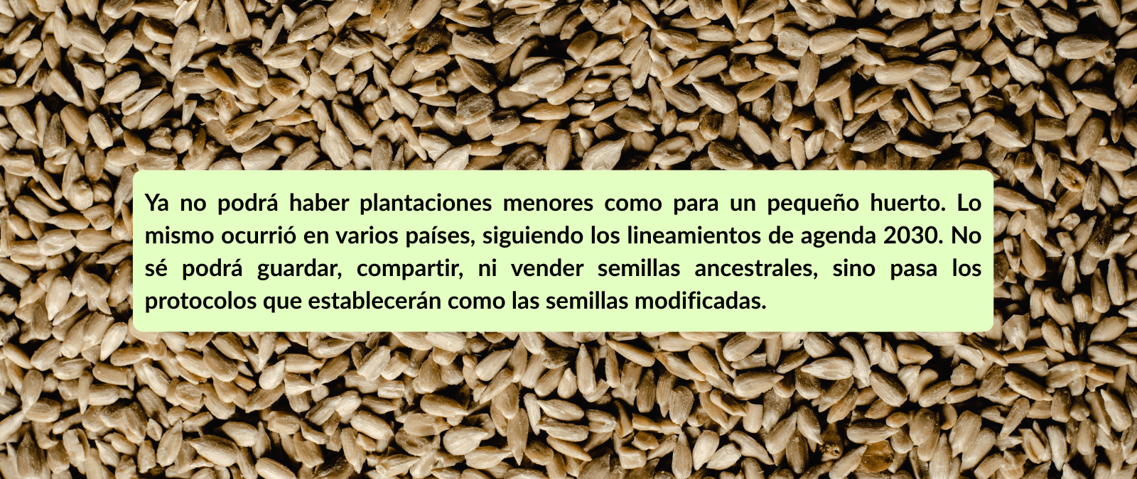 Qué sabemos sobre el texto que dice que ya no podrá haber "plantaciones menores" como huertos ni guardar o compartir "semillas ancestrales" por la Agenda 2030