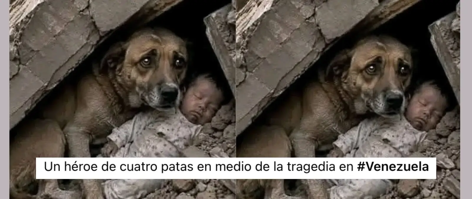 No, esta imagen de un perro junto a un bebé bajo los escombros tras los terremotos de Venezuela no es real: ha sido generada con IA