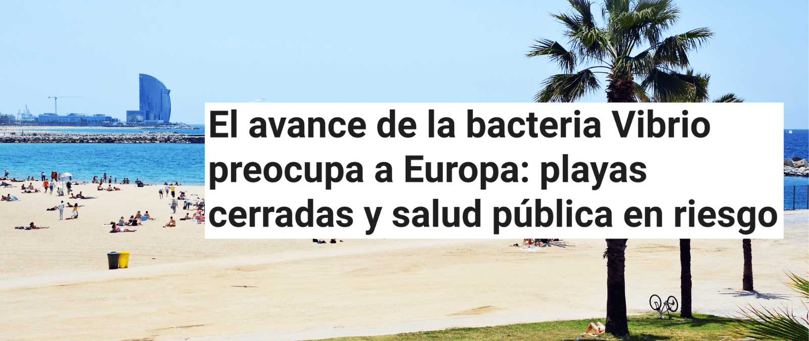 Qué sabemos de la bacteria Vibrio y cómo afecta a las playas españolas