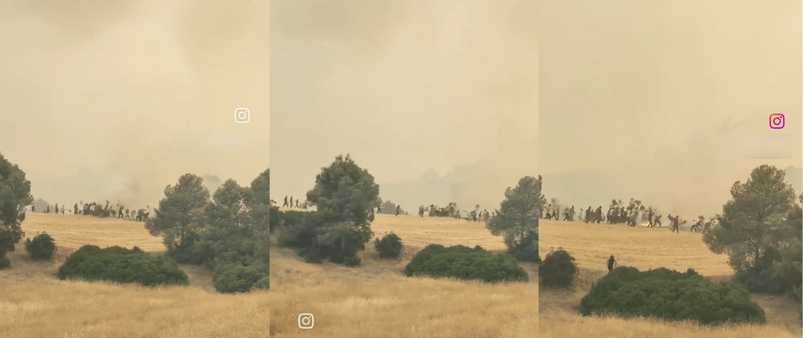 Vídeo muestra a gente apagando un incendio con ramas