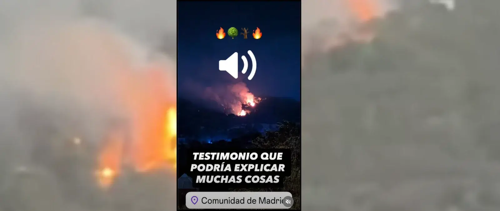 Qué sabemos del audio sobre que "ecologistas paralizaron la limpieza de cortafuegos de la empresa Explotaciones Forestales Fraile" en la Sierra de Madrid "hace 11 años"