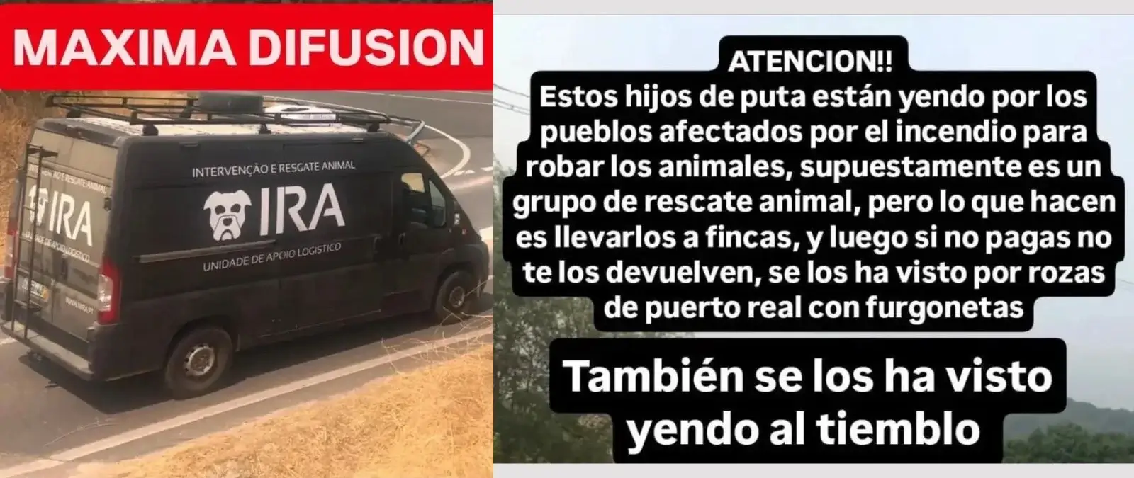 Qué sabemos sobre si la organización de rescate animal ‘IRA’ está "robando animales" de zonas afectadas por los incendios y exigiendo un pago a los propietarios por recuperarlos