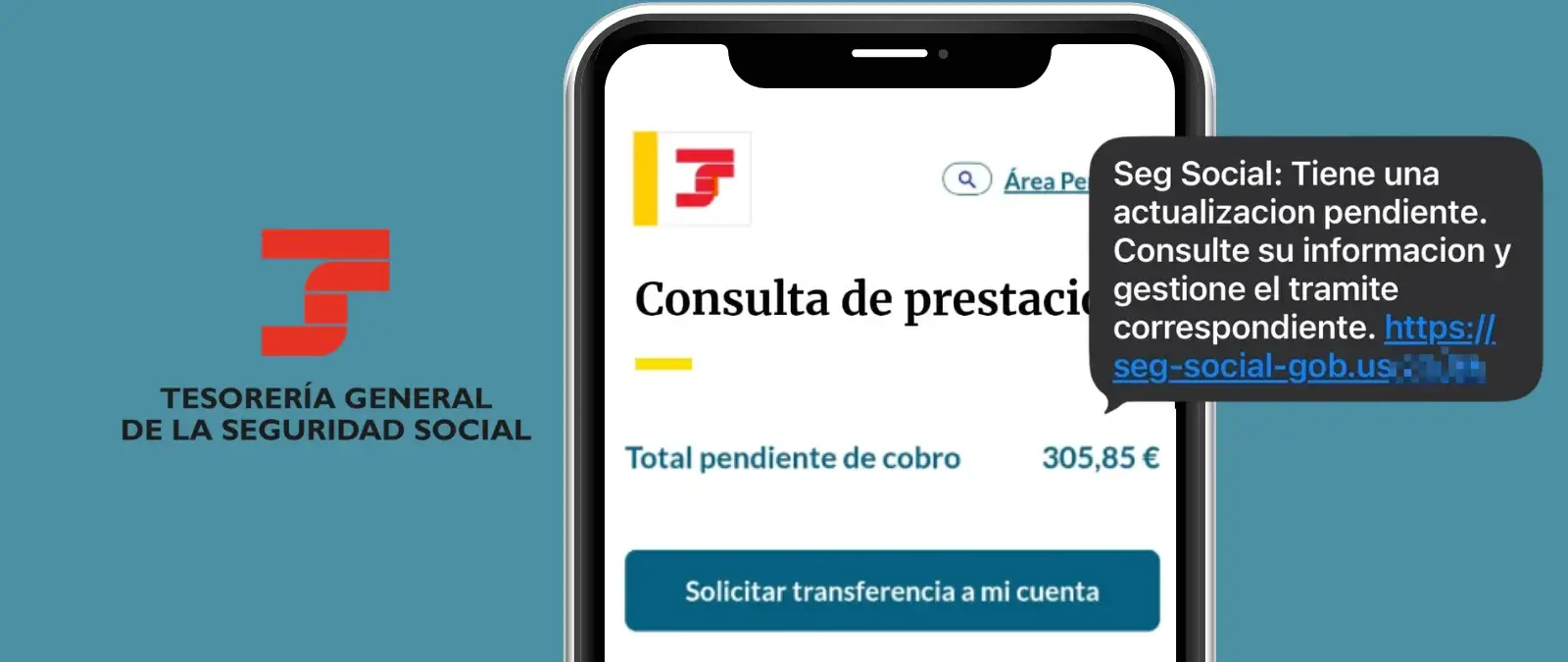 La web que suplanta a la Seguridad Social para resolver