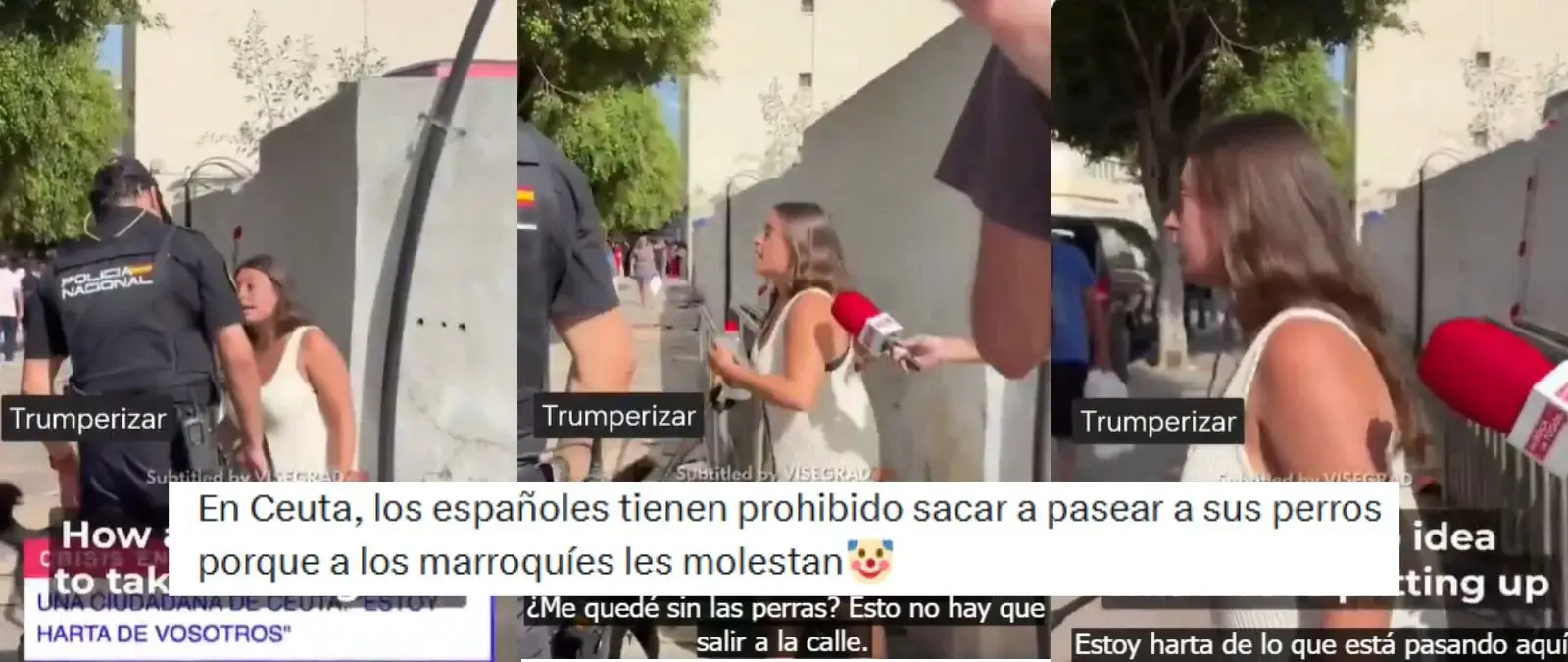 No, no hay ninguna prohibición en Ceuta para que los españoles paseen a sus perros En el reglamento local que regula las obligaciones de los dueños con sus mascotas, señala en su artículo 9 que los perros que circulen por la vía pública irán acompañados por su dueño/a, propietario/a o poseedor/a, que será el responsable de cualquier daño que provoque.