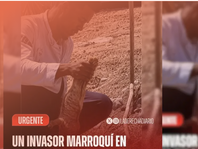 Fotograma manipulado en el que un hombre sostiene un gato, con el rótulo "Un invasor marroquí en..."