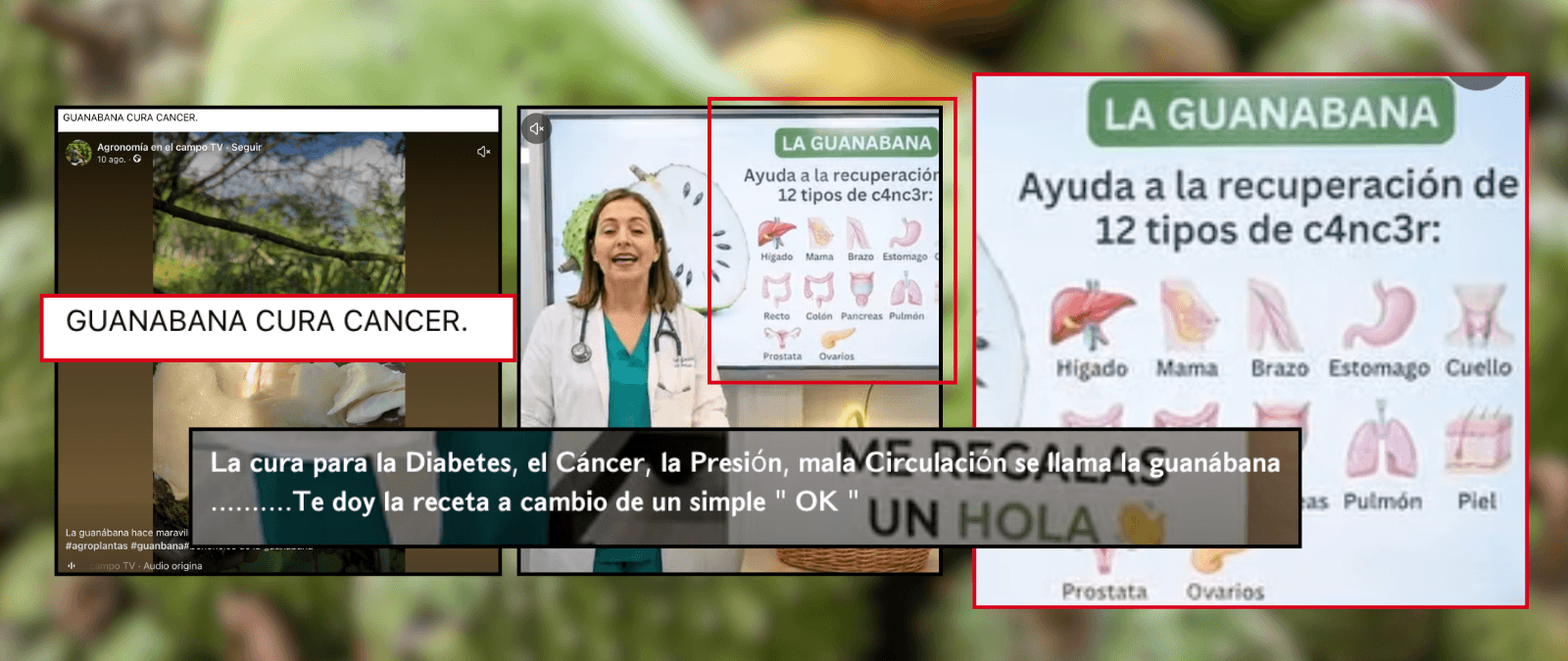 No hay evidencias de que la guanábana (ni ningún otro alimento) curen el cáncer en humanos