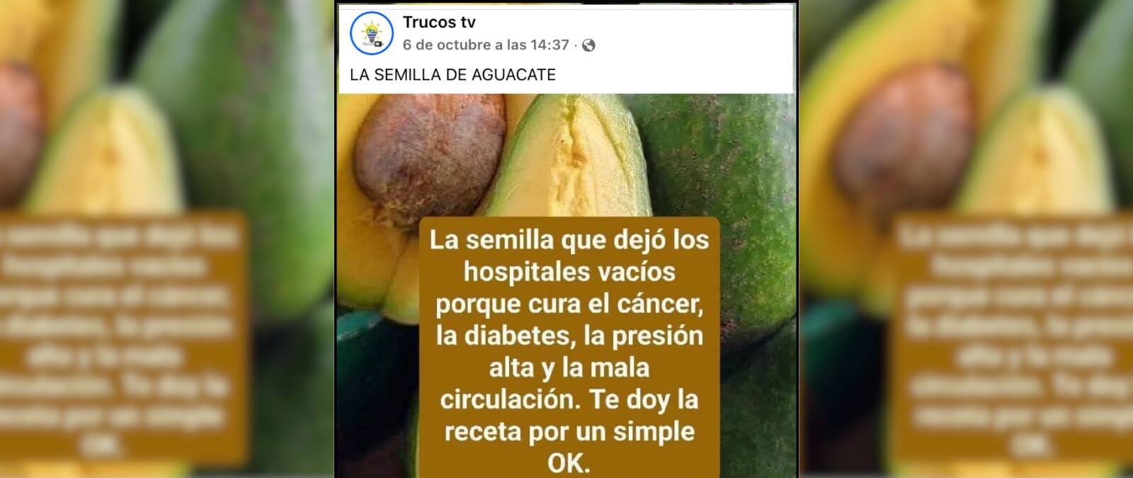 No hay evidencias de que la semilla del aguacate (ni ninguna otra) cure el cáncer